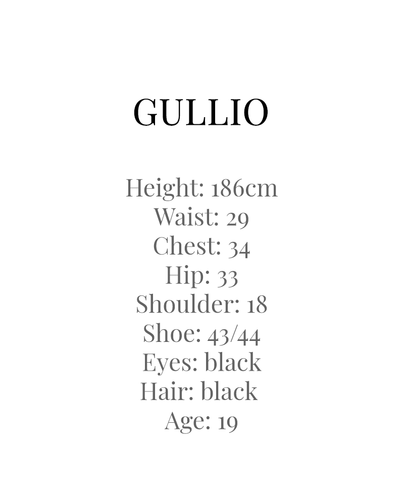 GULLIO DETAILS