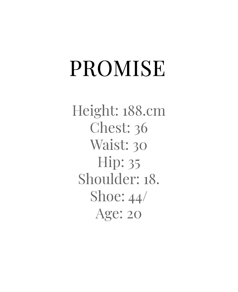 PROMISE DETAILS